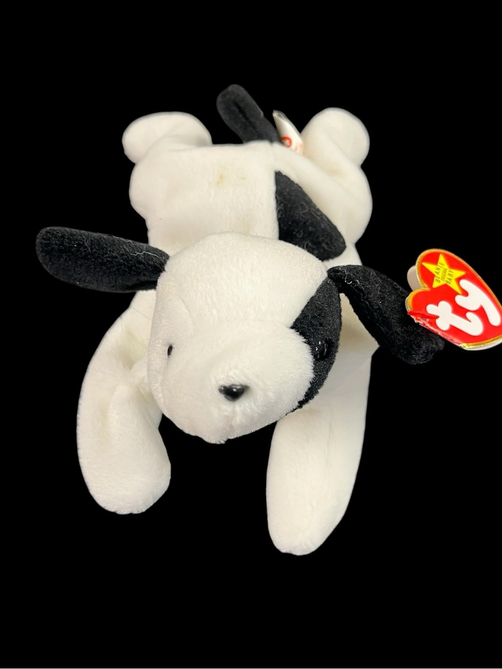 Ty Beanie Baby: Spot